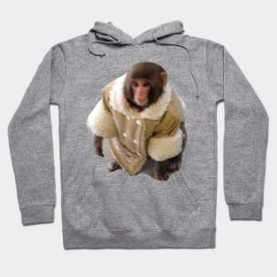 Stylish Yet Illegal Monkey Found Roaming Ikea Meme Sticker Hoodie